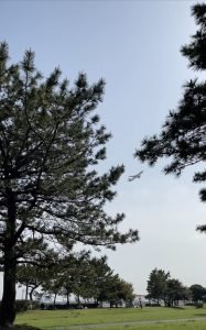 Tokyo Haneda havaalanının yanıbaşında muhteşem bir park